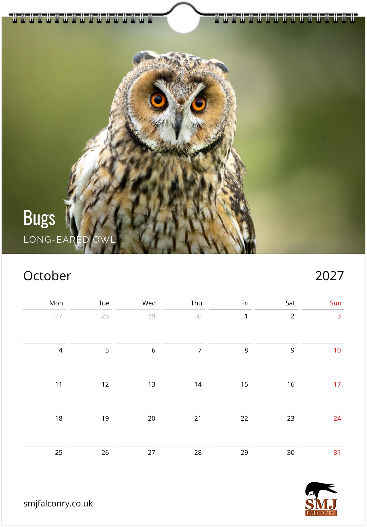 A single-page calendar spread showing a large owl photograph on the top page and a October 2027 grid on the bottom page. The owl image includes the text 'Bugs LONG-EARDED OWL.