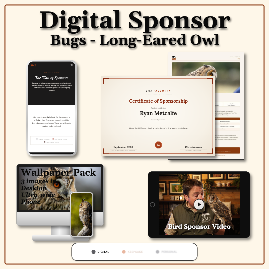 Sponsor Bugs — Long-eared Owl