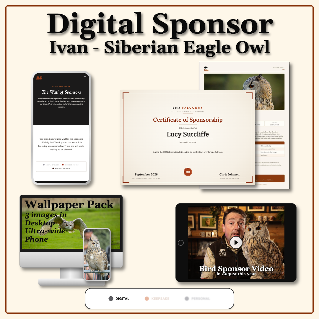 Sponsor Ivan — Siberian Eagle Owl