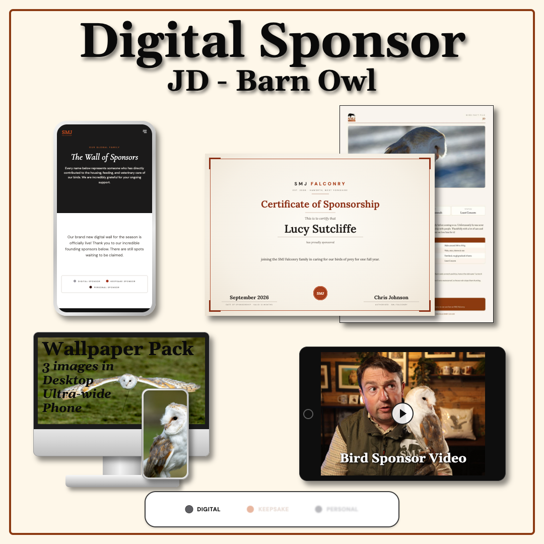 Sponsor JD — Barn Owl