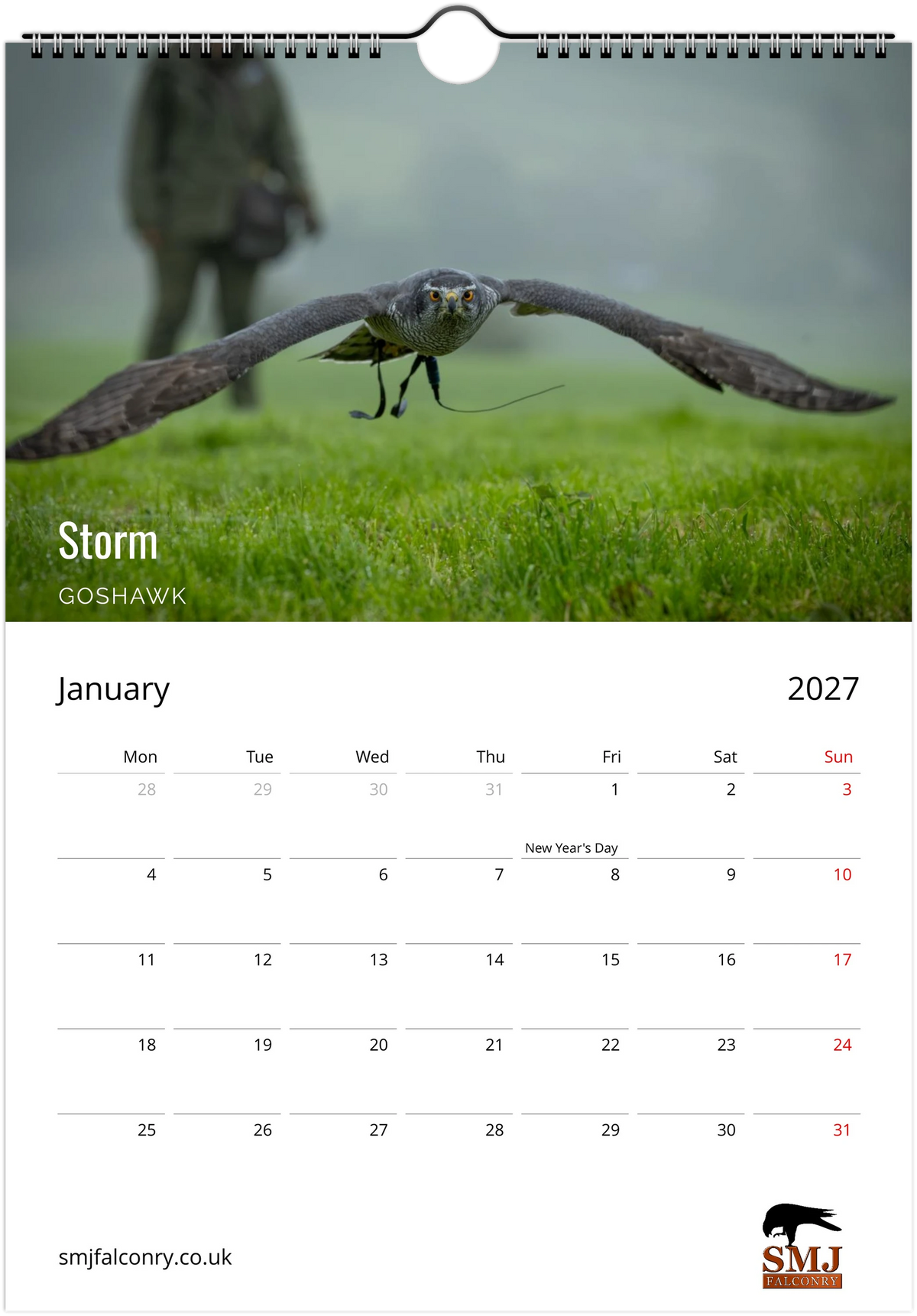 SMJ Falconry Birds of Prey Calendar 2027 (EU & Rest of World)
