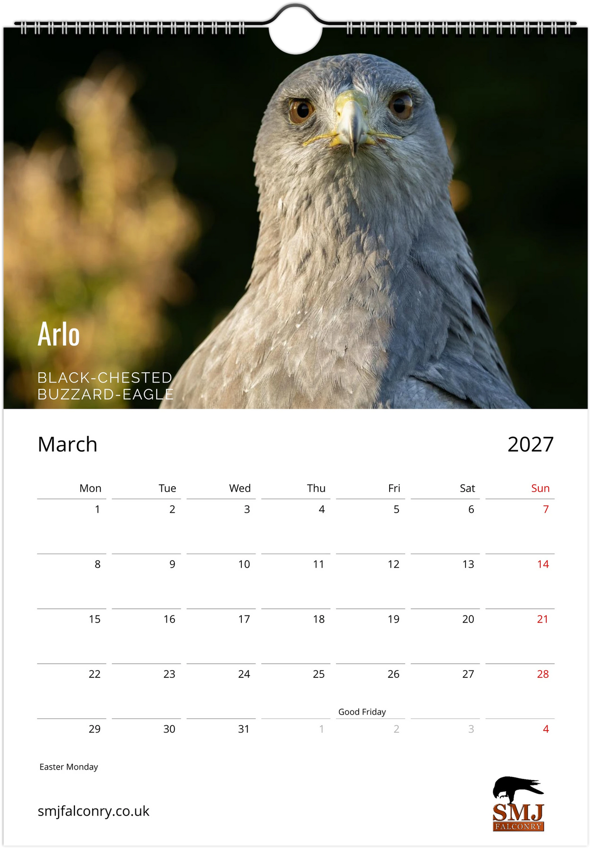 SMJ Falconry Birds of Prey Calendar 2027 (EU & Rest of World)