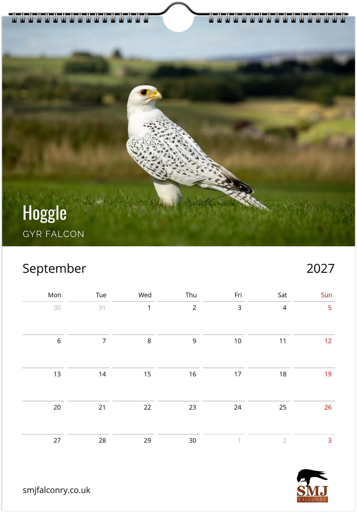 SMJ Falconry Birds of Prey Calendar 2027 (EU & Rest of World)