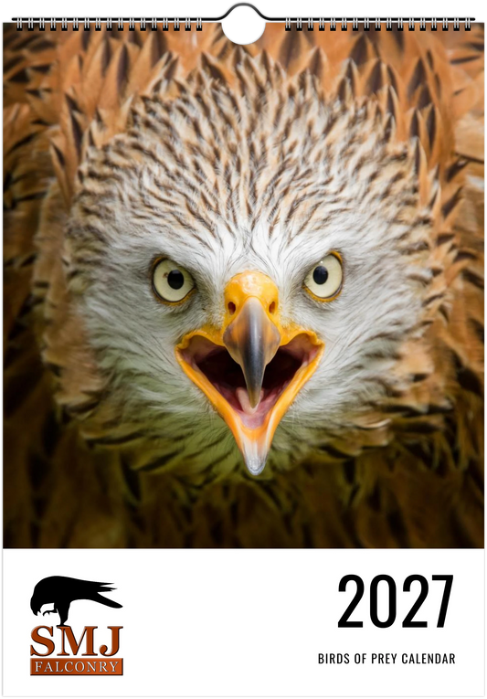 A 2027 spiral-bound birds of prey calendar cover featuring a close-up eagle face with the SMJ Falconry logo and '2027 BIRDS OF PREY CALENDAR' text at the bottom.