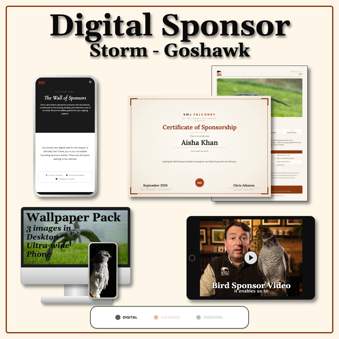 Sponsor Storm — Goshawk