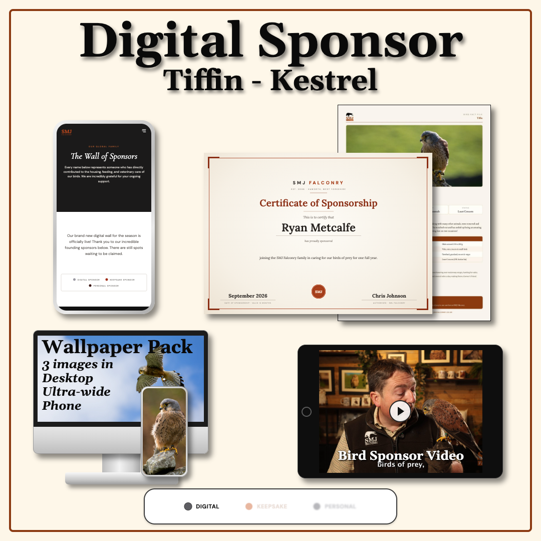 Sponsor Tiffin — Kestrel