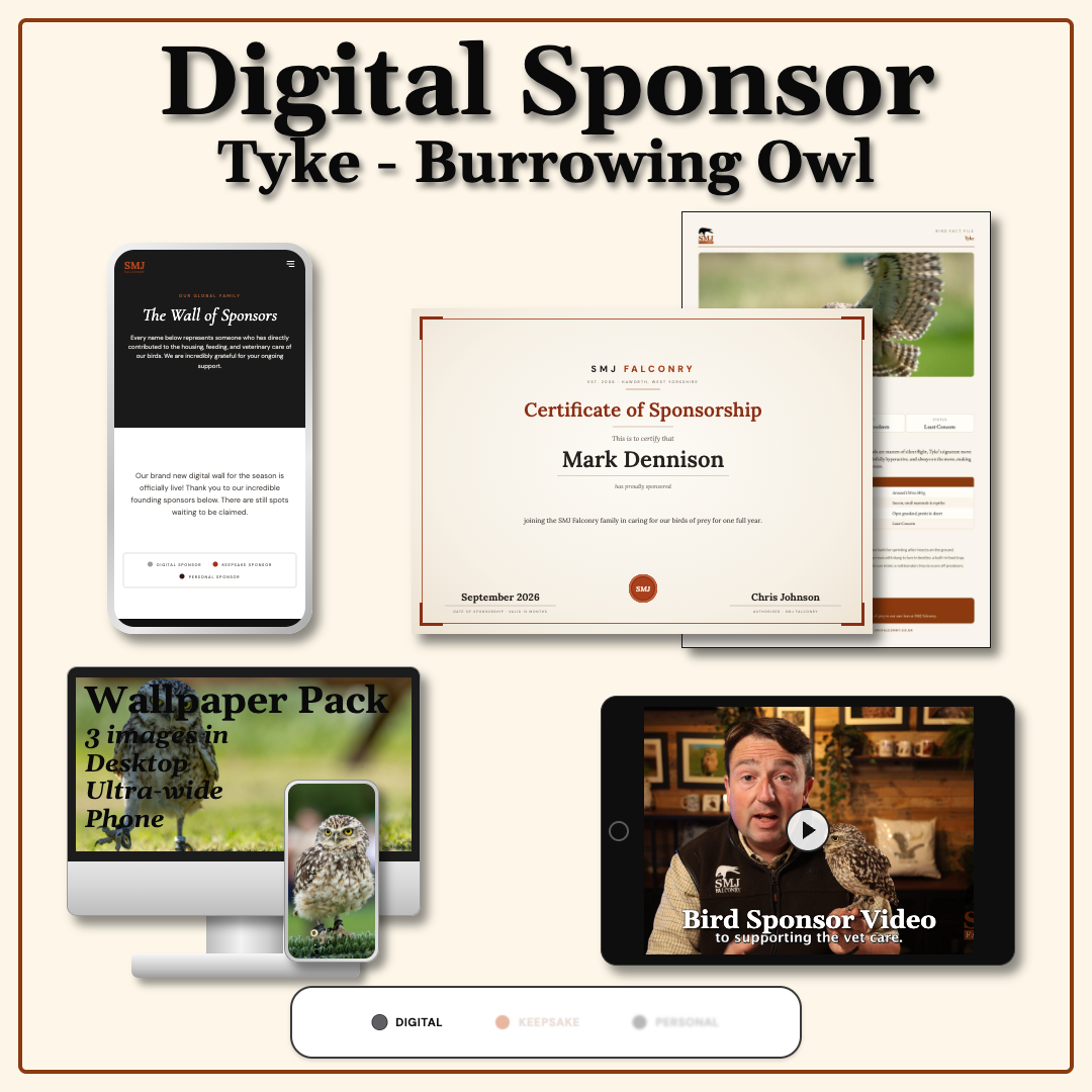 Sponsor Tyke — Burrowing Owl