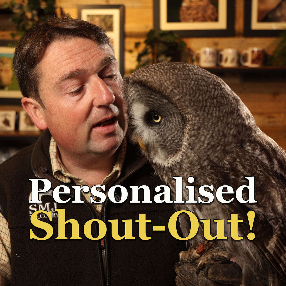 Personalised Bird of Prey Video Message
